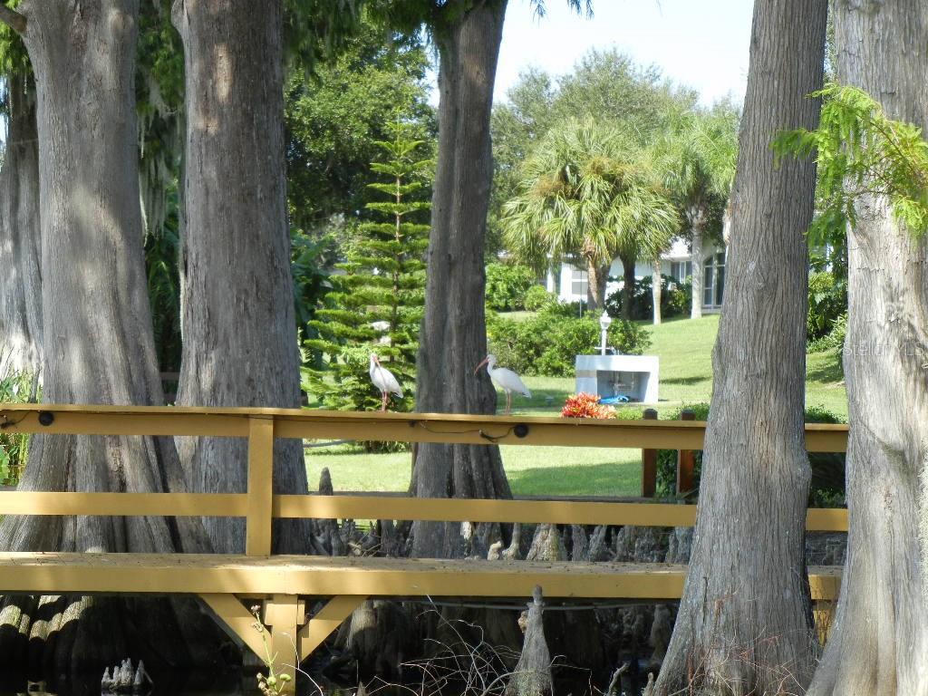 5052 CHINA SEA, TAVARES, FL, 32778
