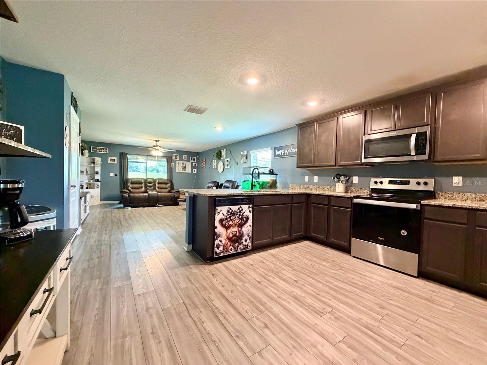 11991 CALLICARPA LN, LEESBURG, FL, 34788