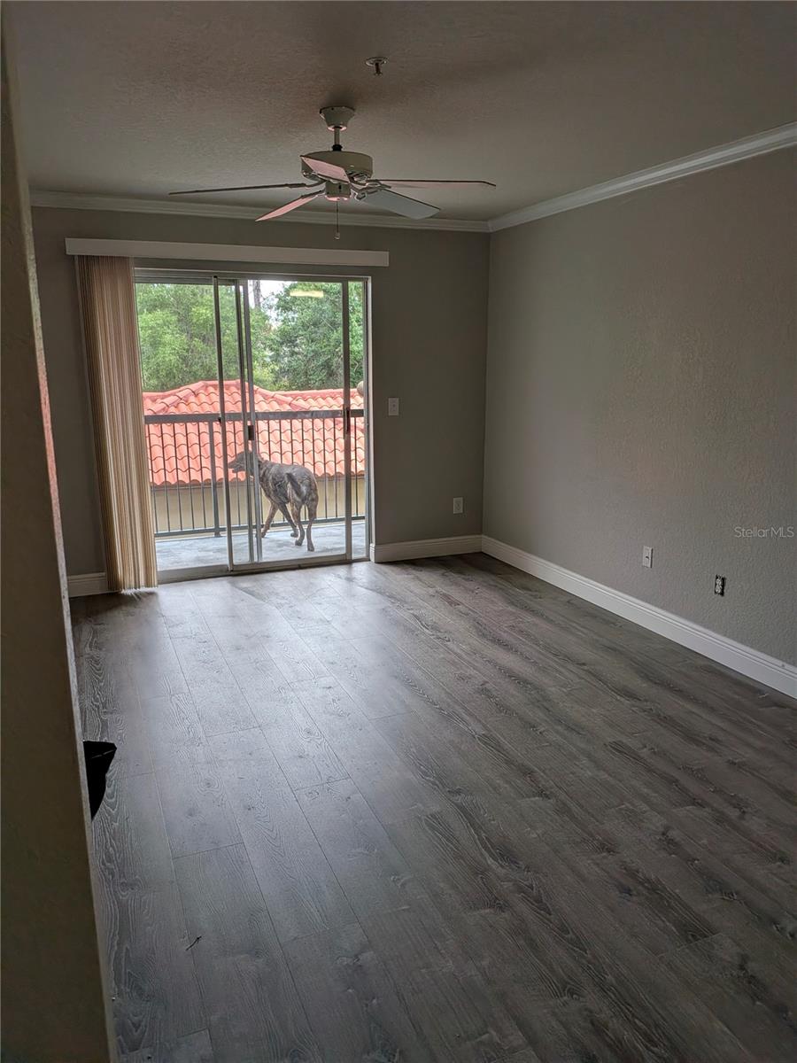 4209 WOODSTORKS WALK WAY #1205, LUTZ, FL, 33558