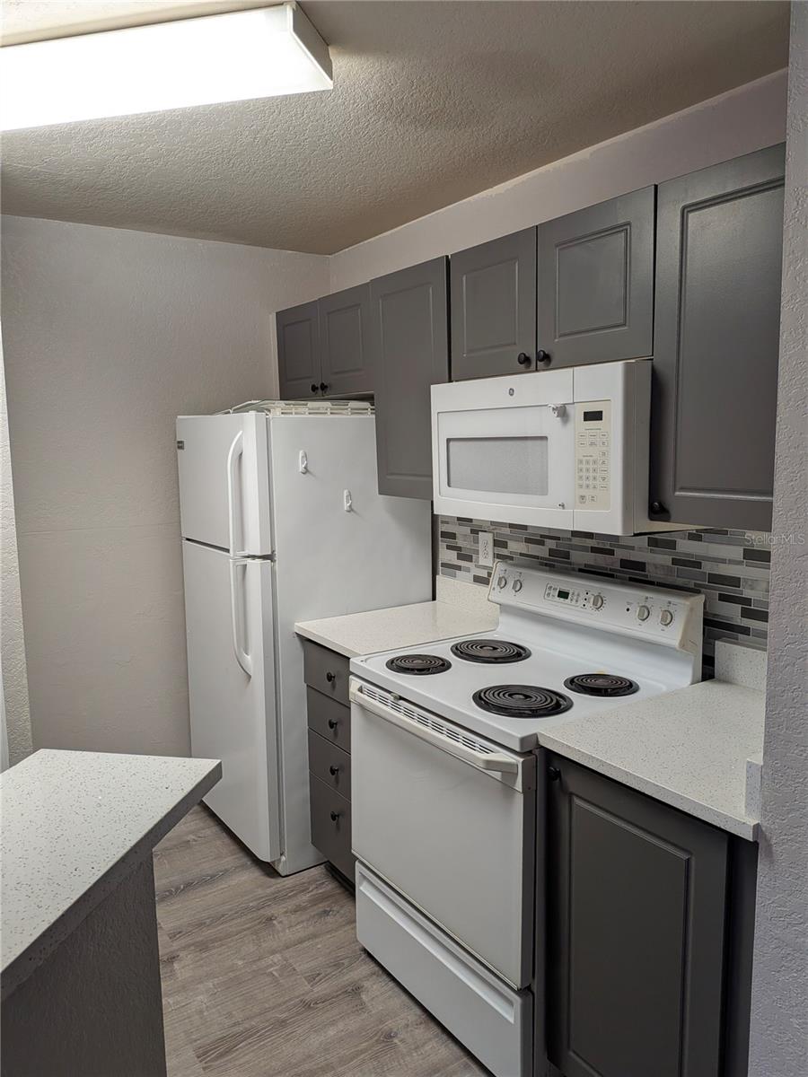 4209 WOODSTORKS WALK WAY #1205, LUTZ, FL, 33558