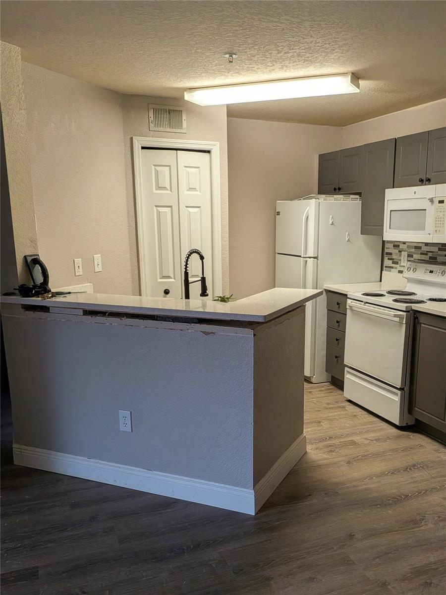 4209 WOODSTORKS WALK WAY #1205, LUTZ, FL, 33558