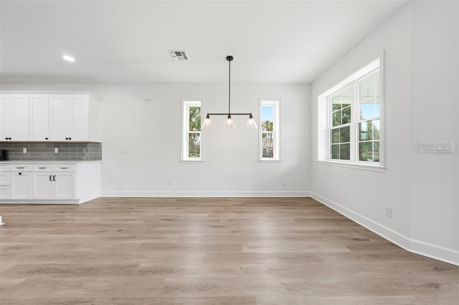1020 FARMSTEAD ST, EUSTIS, FL, 32736