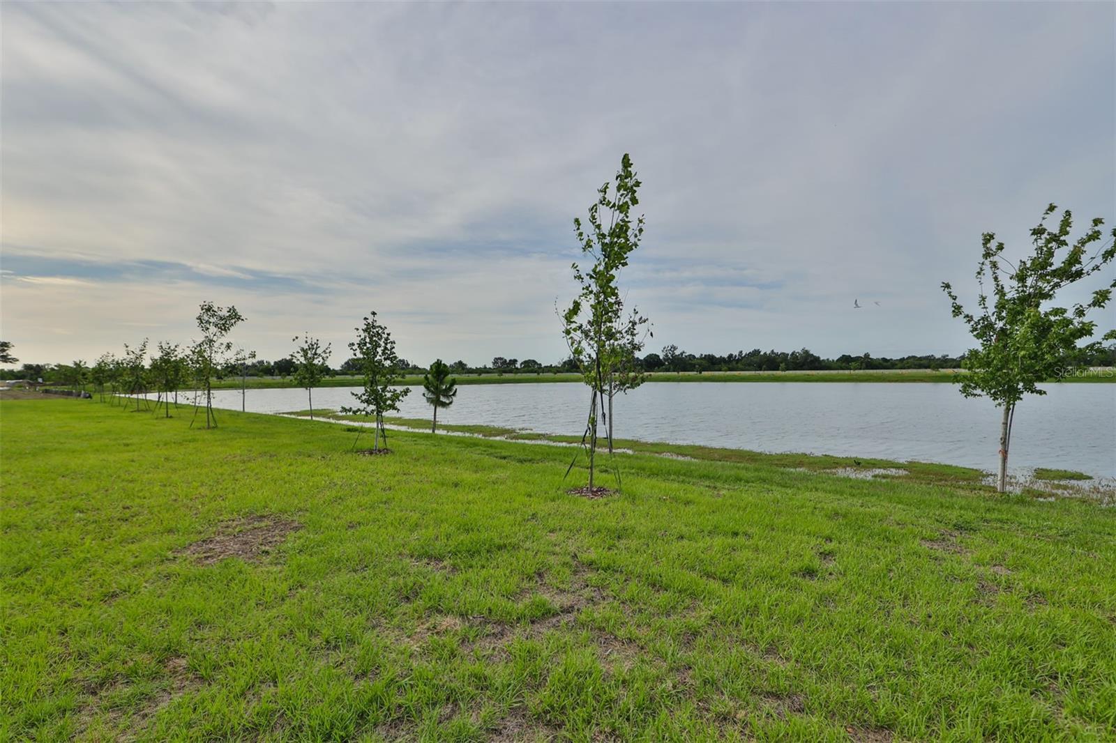 233 MANGROVE SHADE CIR, APOLLO BEACH, FL, 33572