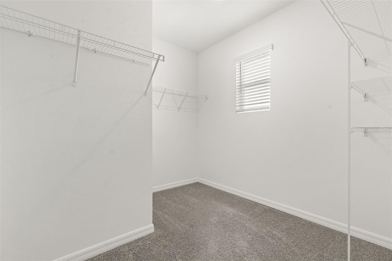 33301 DARLEY DALE TRL, WESLEY CHAPEL, FL, 33545