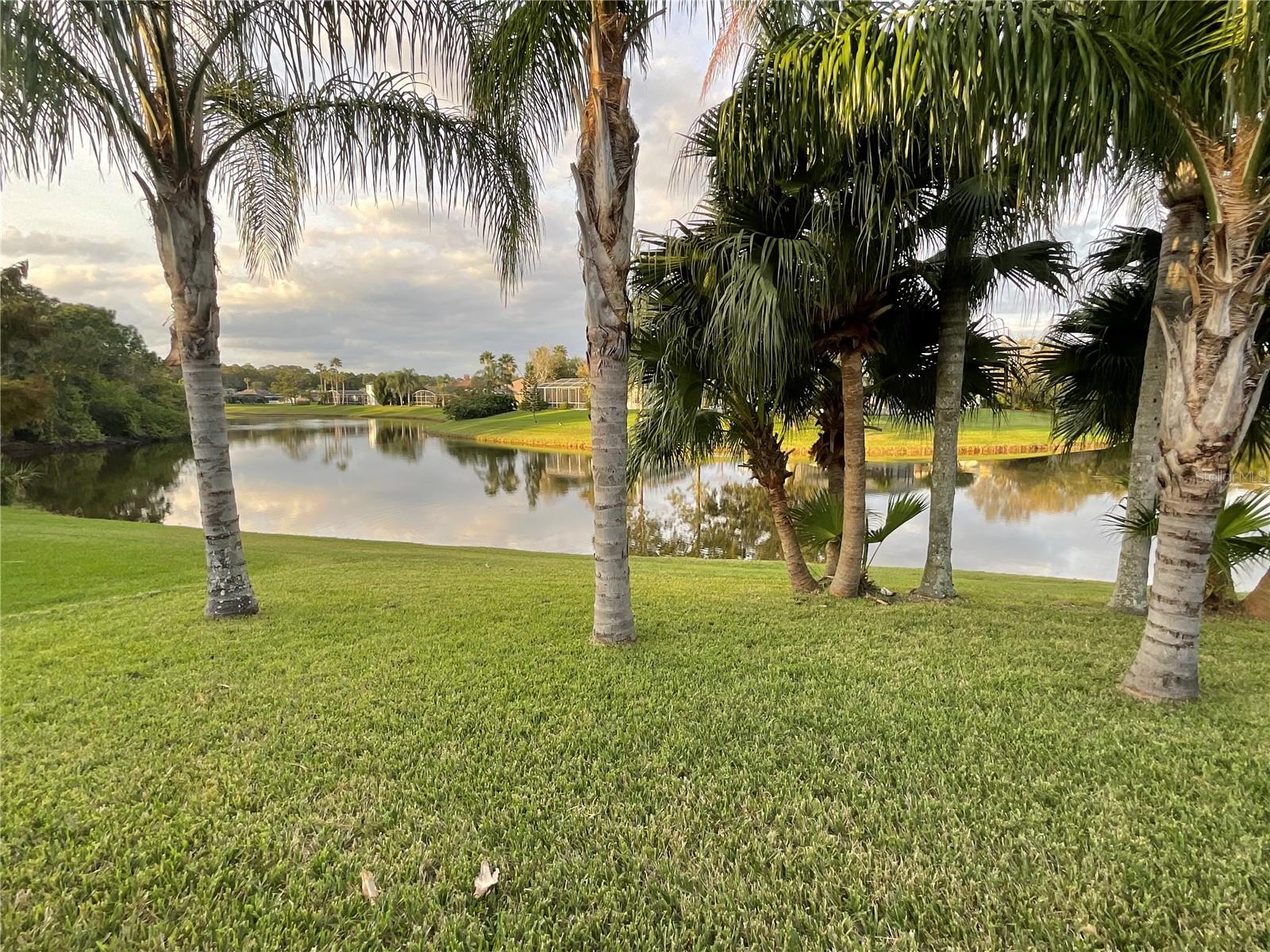 13668 CRYSTAL RIVER DR, ORLANDO, FL, 32828