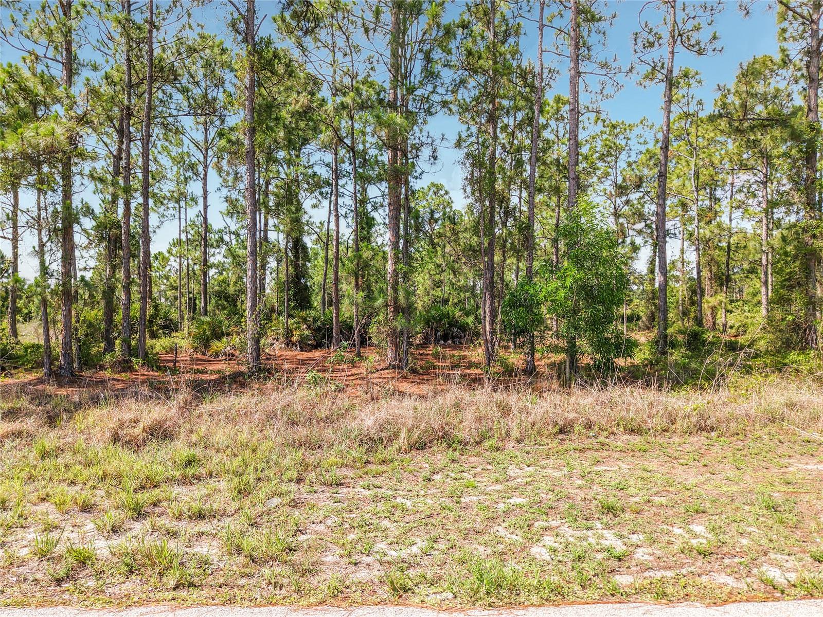 722 MANUEL ST E, LEHIGH ACRES, FL, 33974