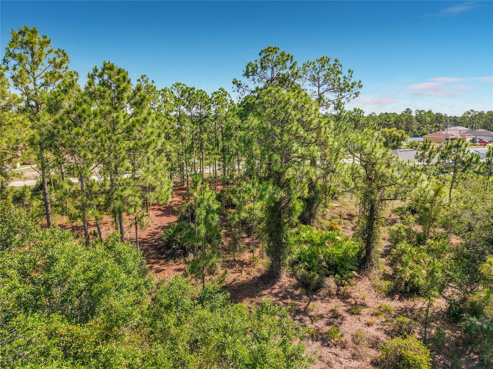 722 MANUEL ST E, LEHIGH ACRES, FL, 33974