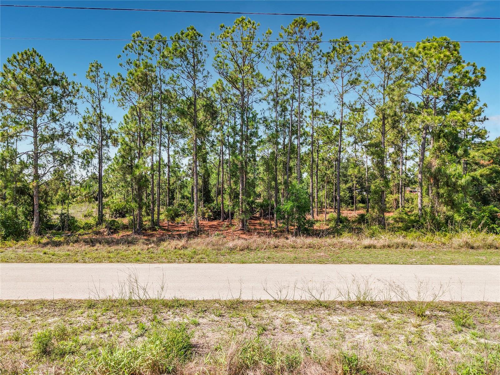722 MANUEL ST E, LEHIGH ACRES, FL, 33974