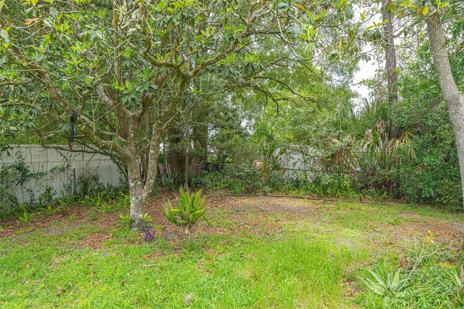2334 DARTMOUTH RD, DELAND, FL, 32724