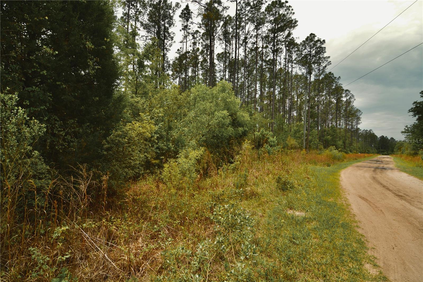 SWEET GUM RD, GLEN ST MARY, FL, 32040