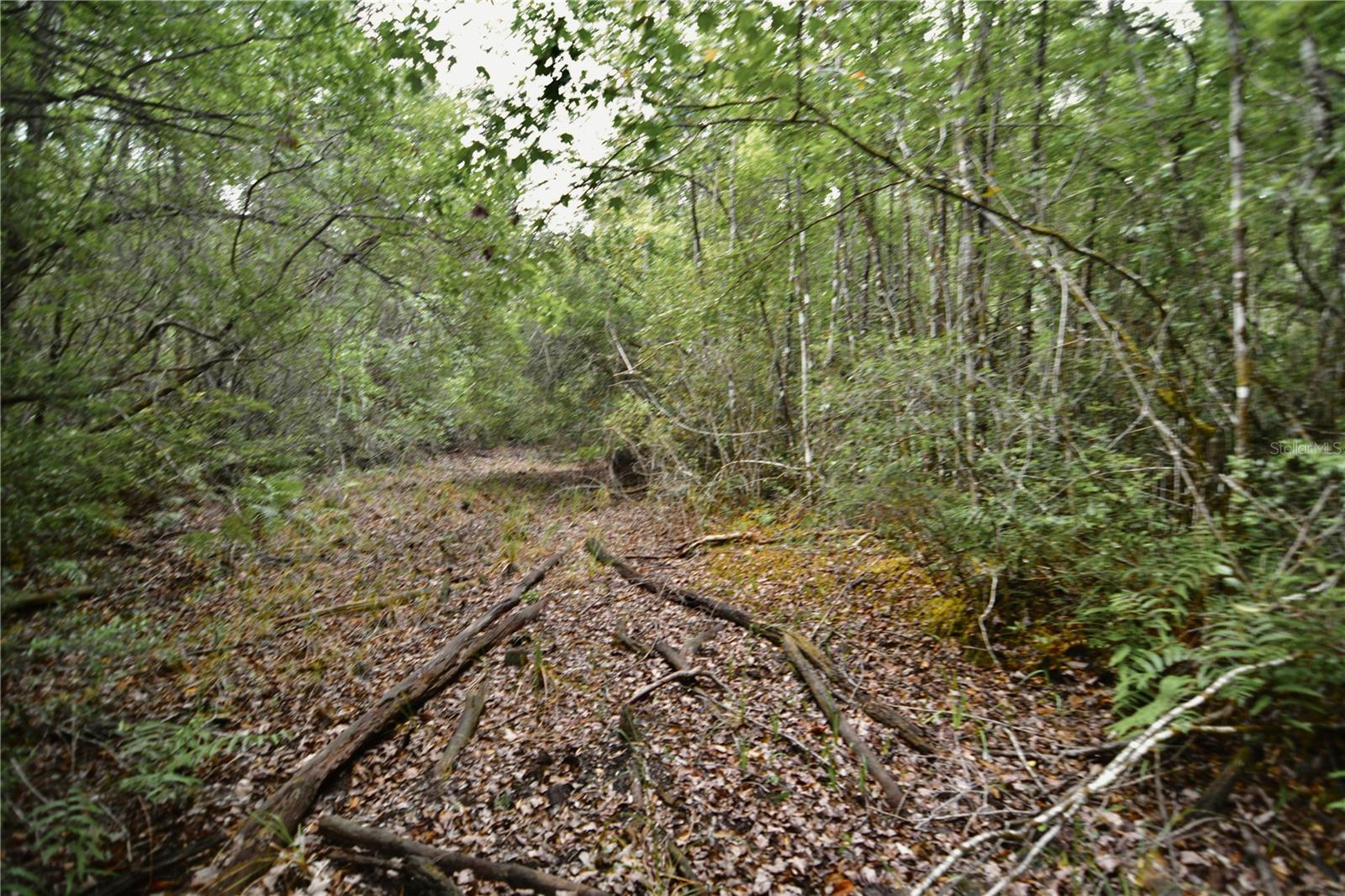 SWEET GUM RD, GLEN ST MARY, FL, 32040