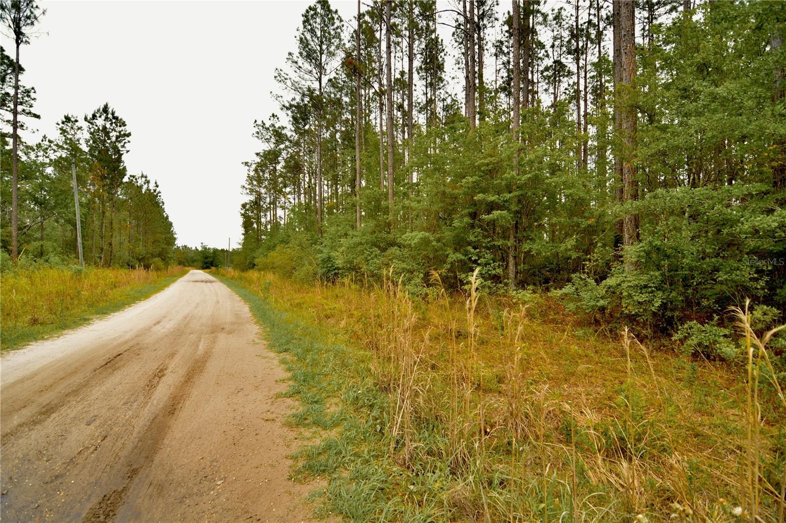 SWEET GUM RD, GLEN ST MARY, FL, 32040
