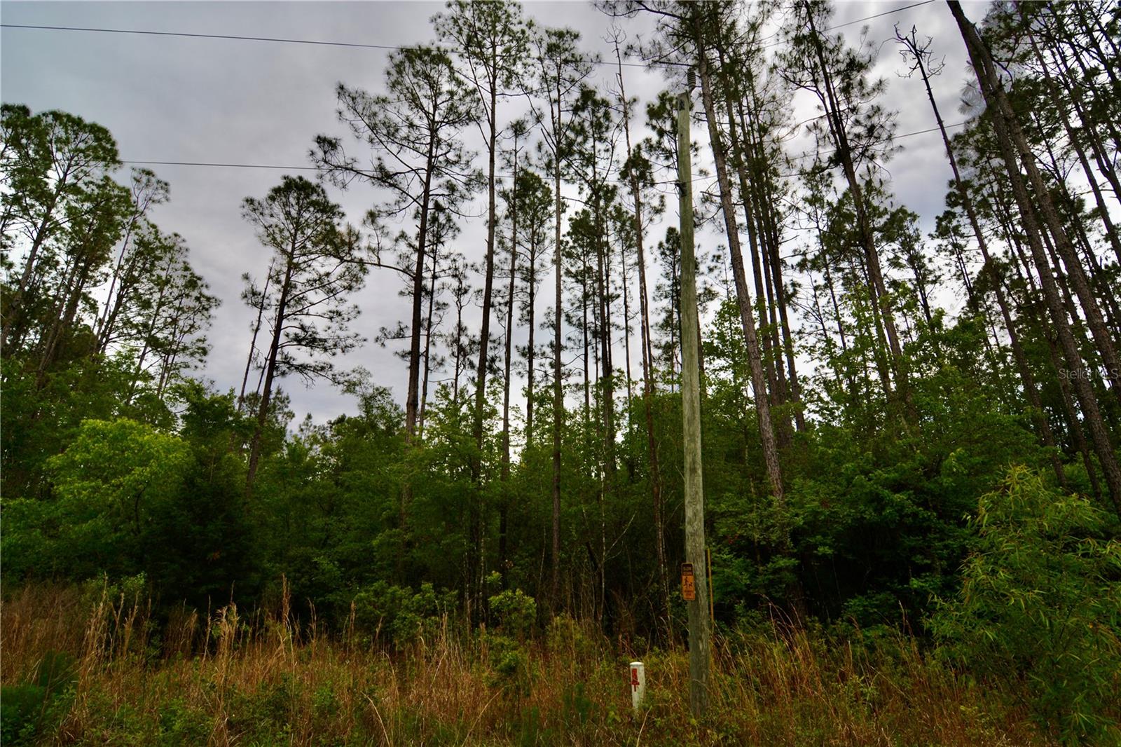 SWEET GUM RD, GLEN ST MARY, FL, 32040