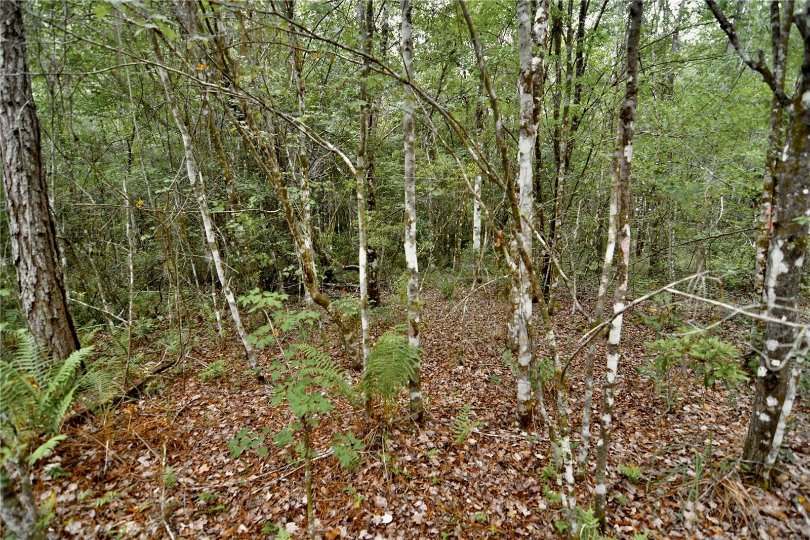 SWEET GUM RD, GLEN ST MARY, FL, 32040
