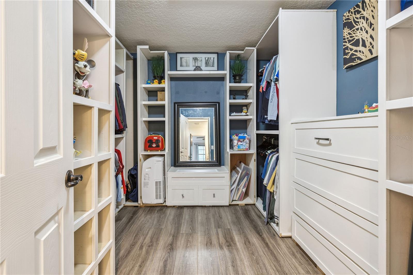 7841 ICELAND GULL ST, WINTER GARDEN, FL, 34787