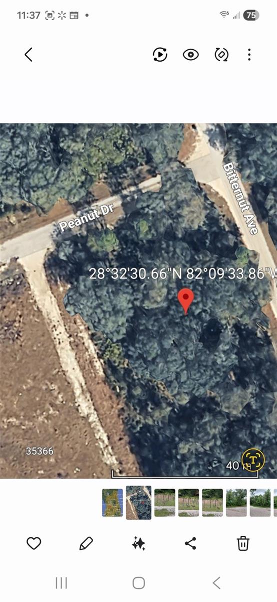 PEANUT DR, WEBSTER, FL, 33597