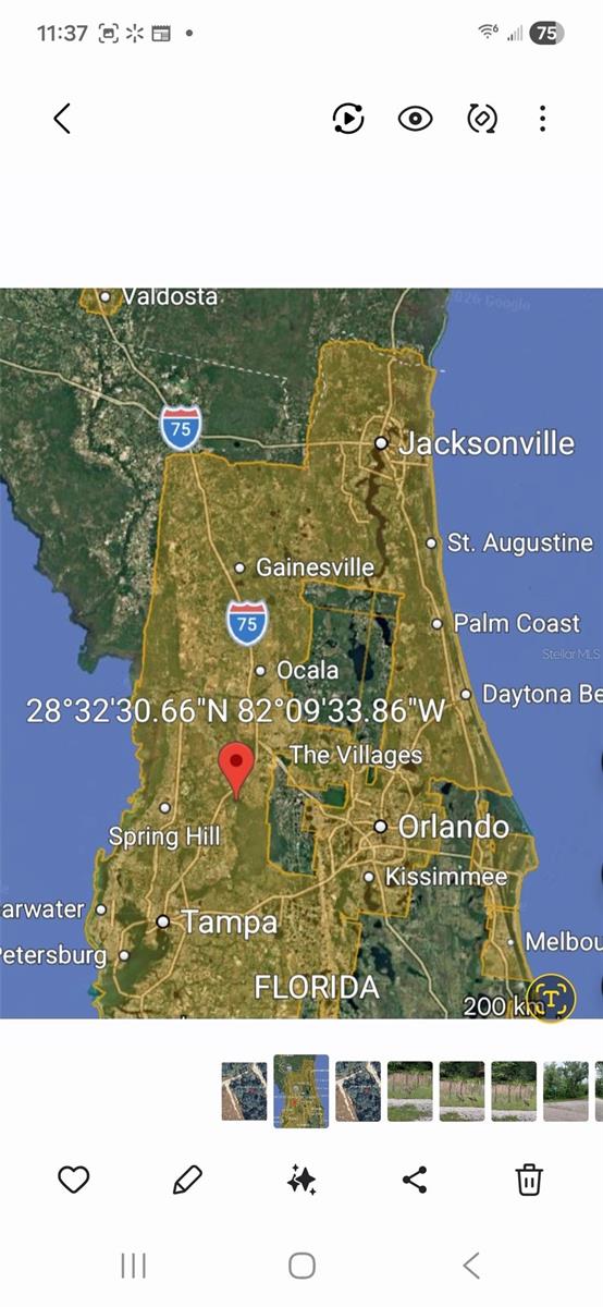 PEANUT DR, WEBSTER, FL, 33597