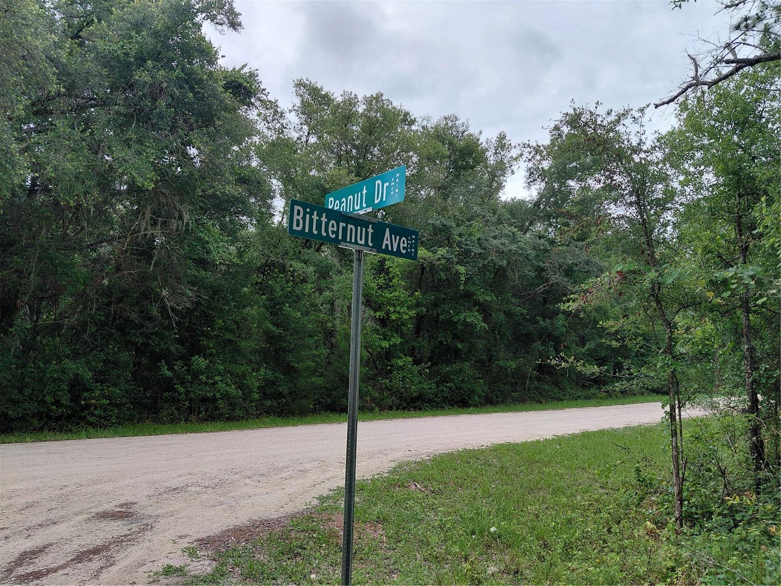 PEANUT DR, WEBSTER, FL, 33597