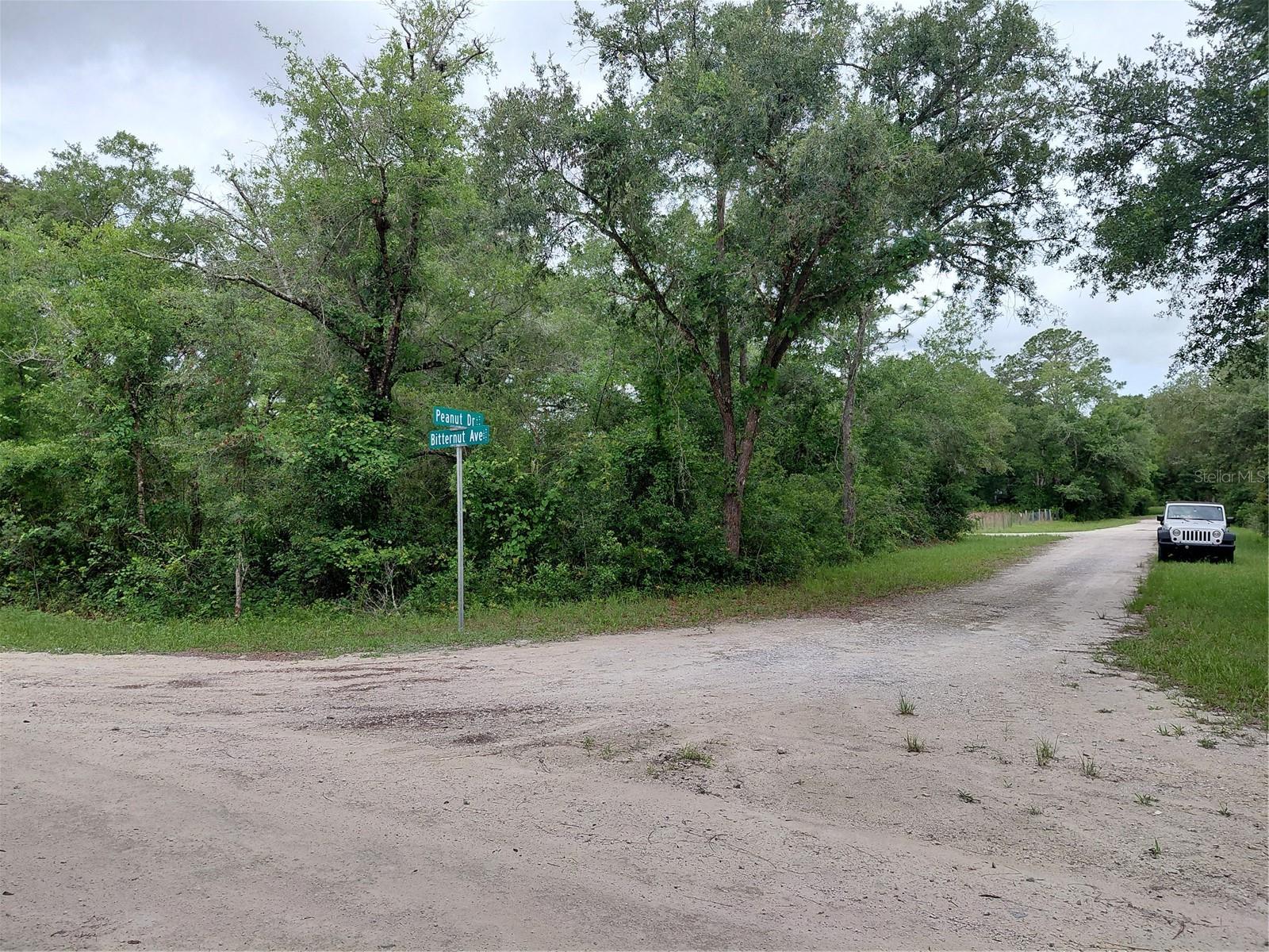 PEANUT DR, WEBSTER, FL, 33597