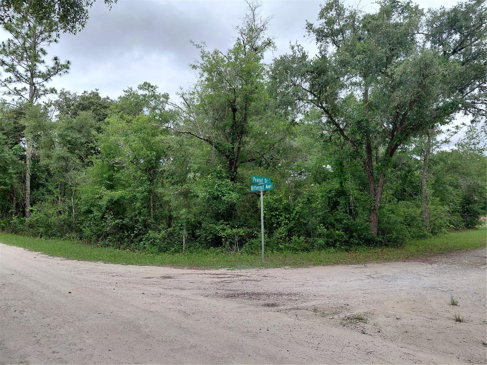 PEANUT DR, WEBSTER, FL, 33597