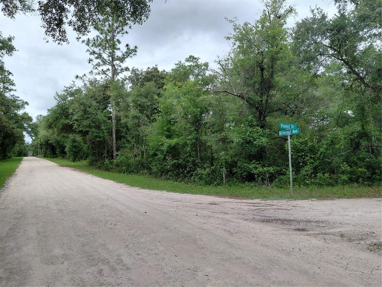PEANUT DR, WEBSTER, FL, 33597