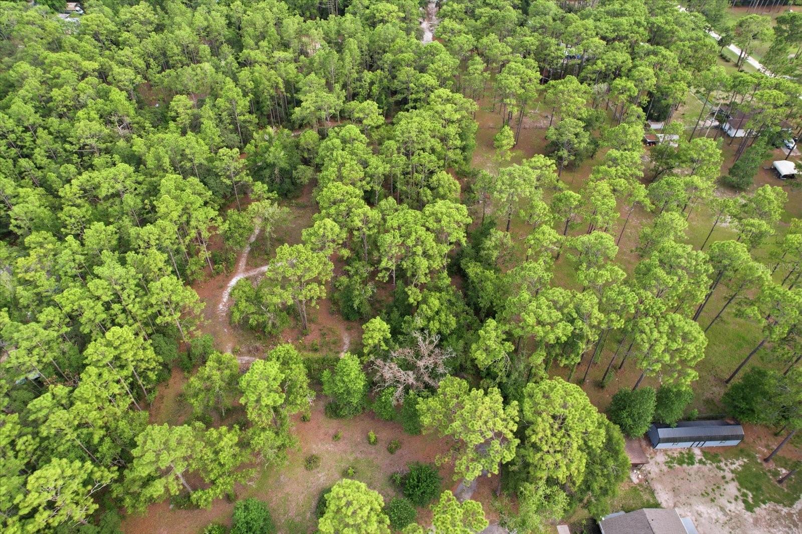 6950 W HILGER CT, HOMOSASSA, FL, 34448