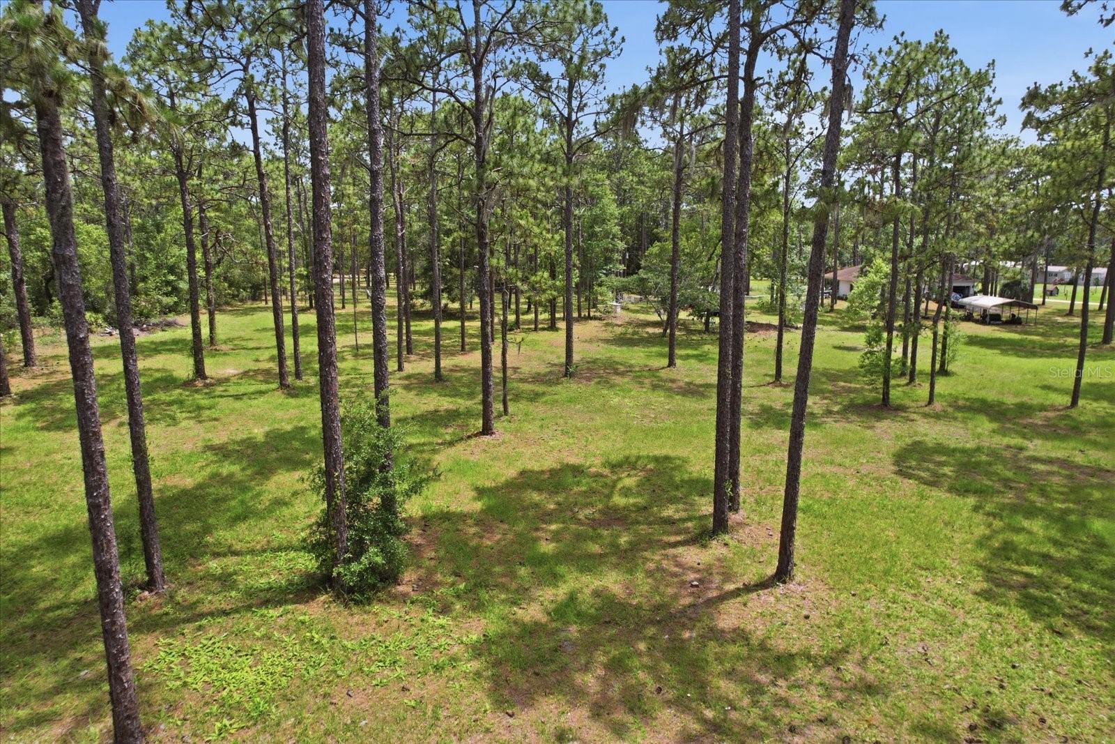 6950 W HILGER CT, HOMOSASSA, FL, 34448