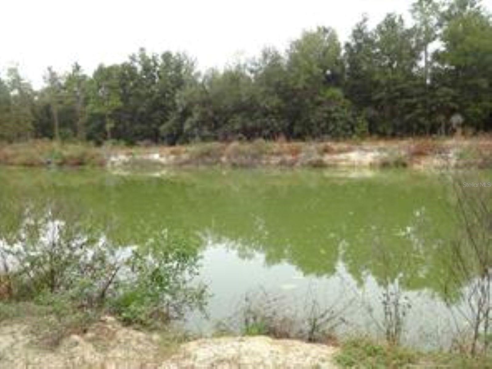 610 BURNSED RD, PIERSON, FL, 32180