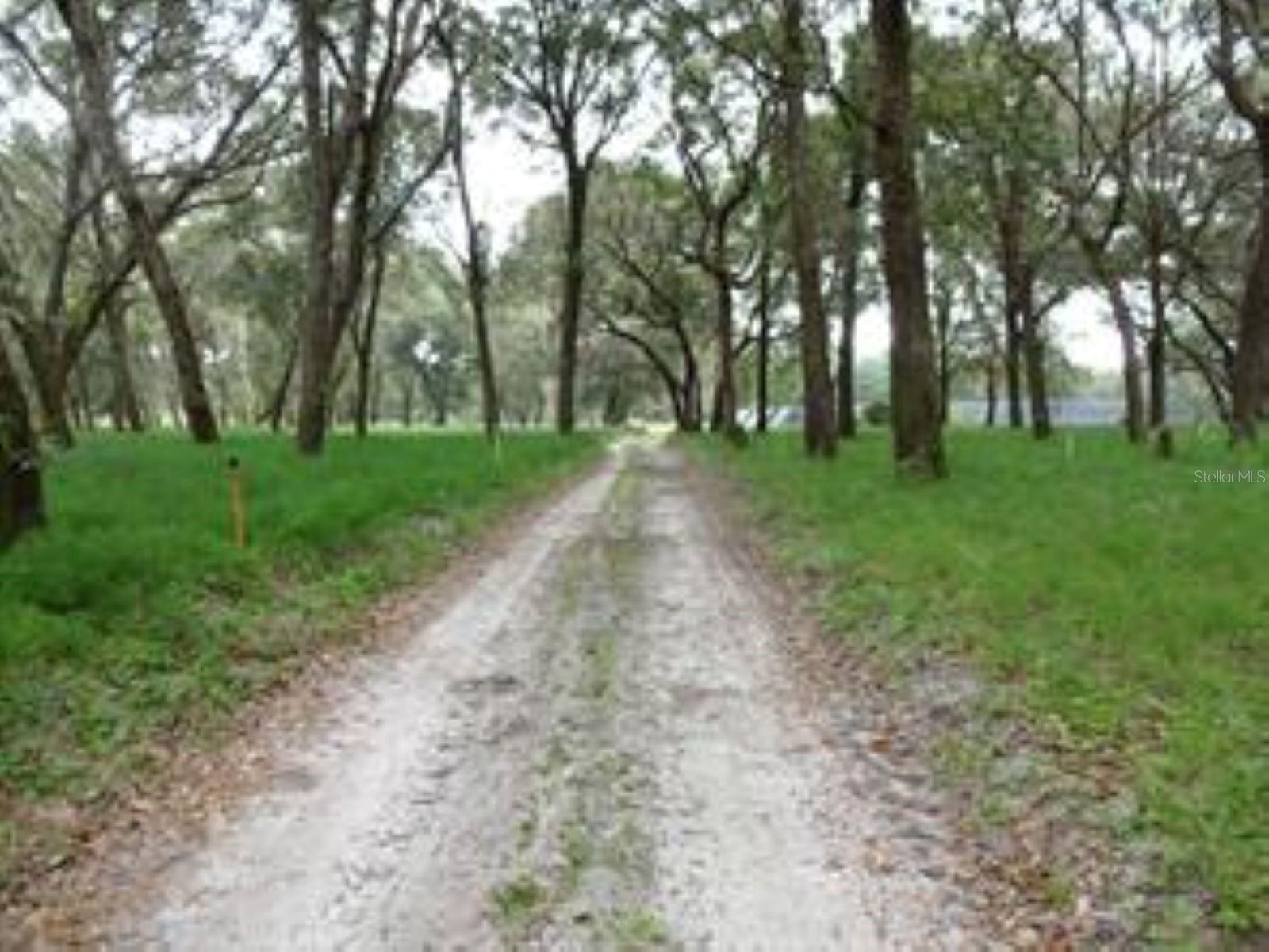 610 BURNSED RD, PIERSON, FL, 32180