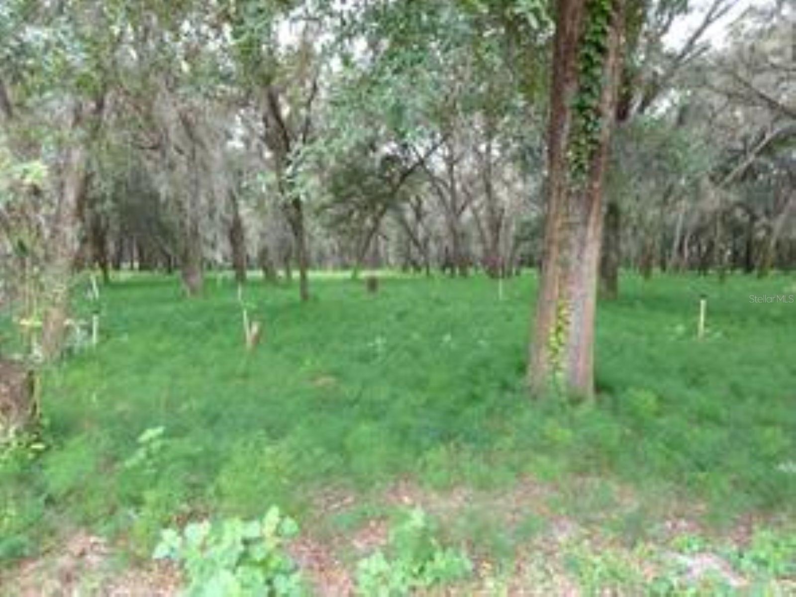 610 BURNSED RD, PIERSON, FL, 32180