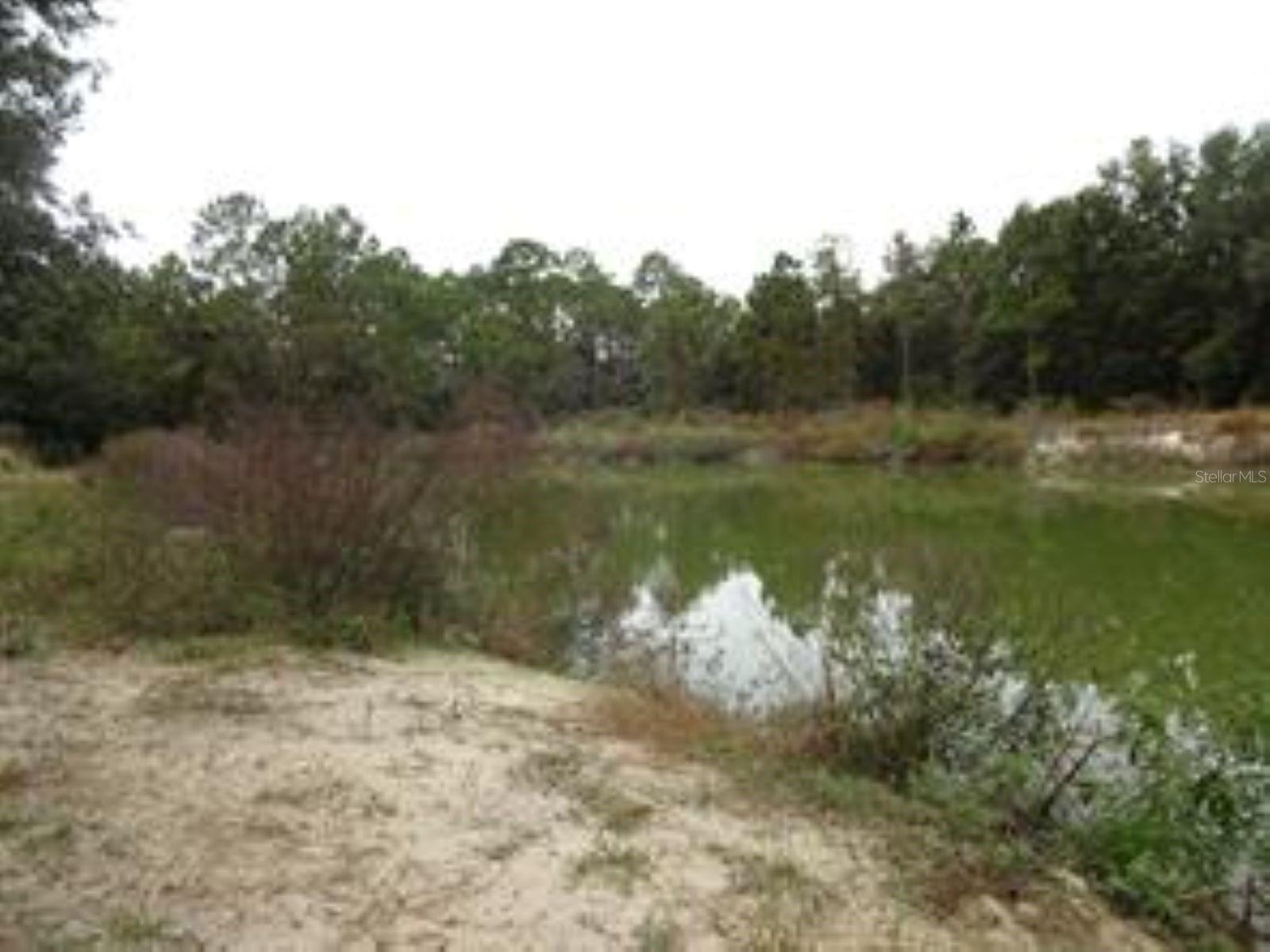 610 BURNSED RD, PIERSON, FL, 32180