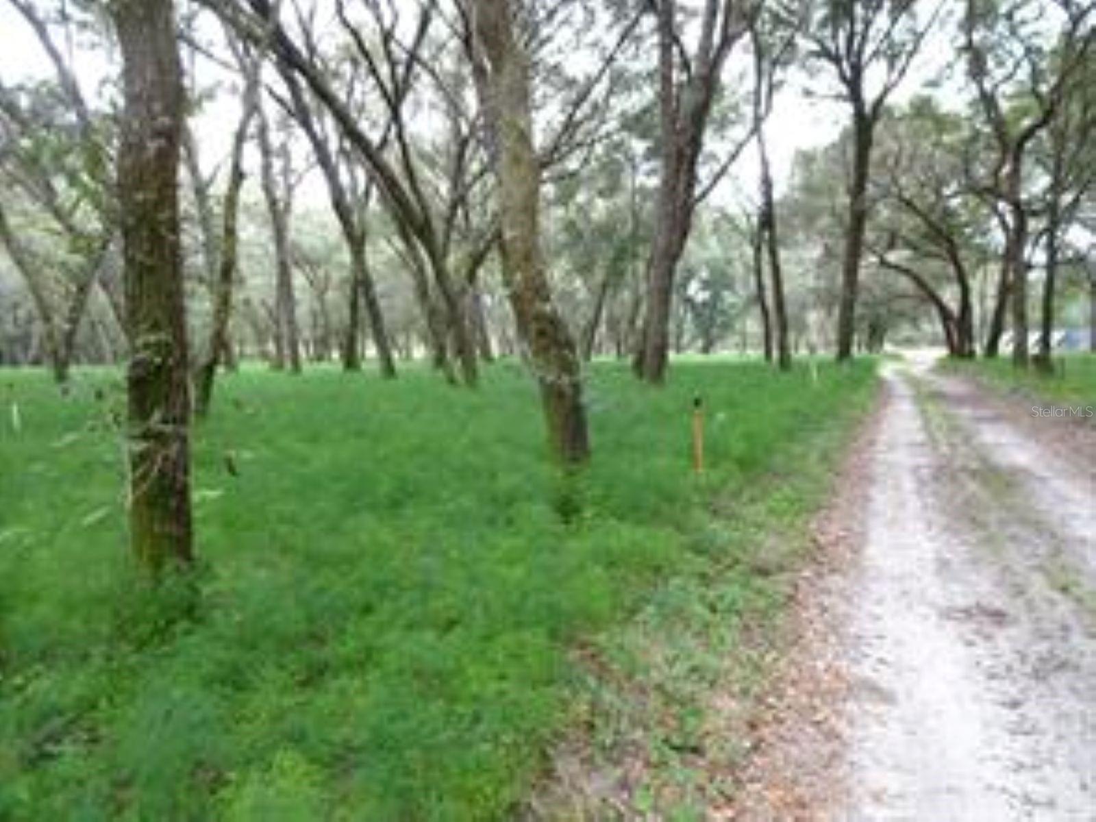 610 BURNSED RD, PIERSON, FL, 32180