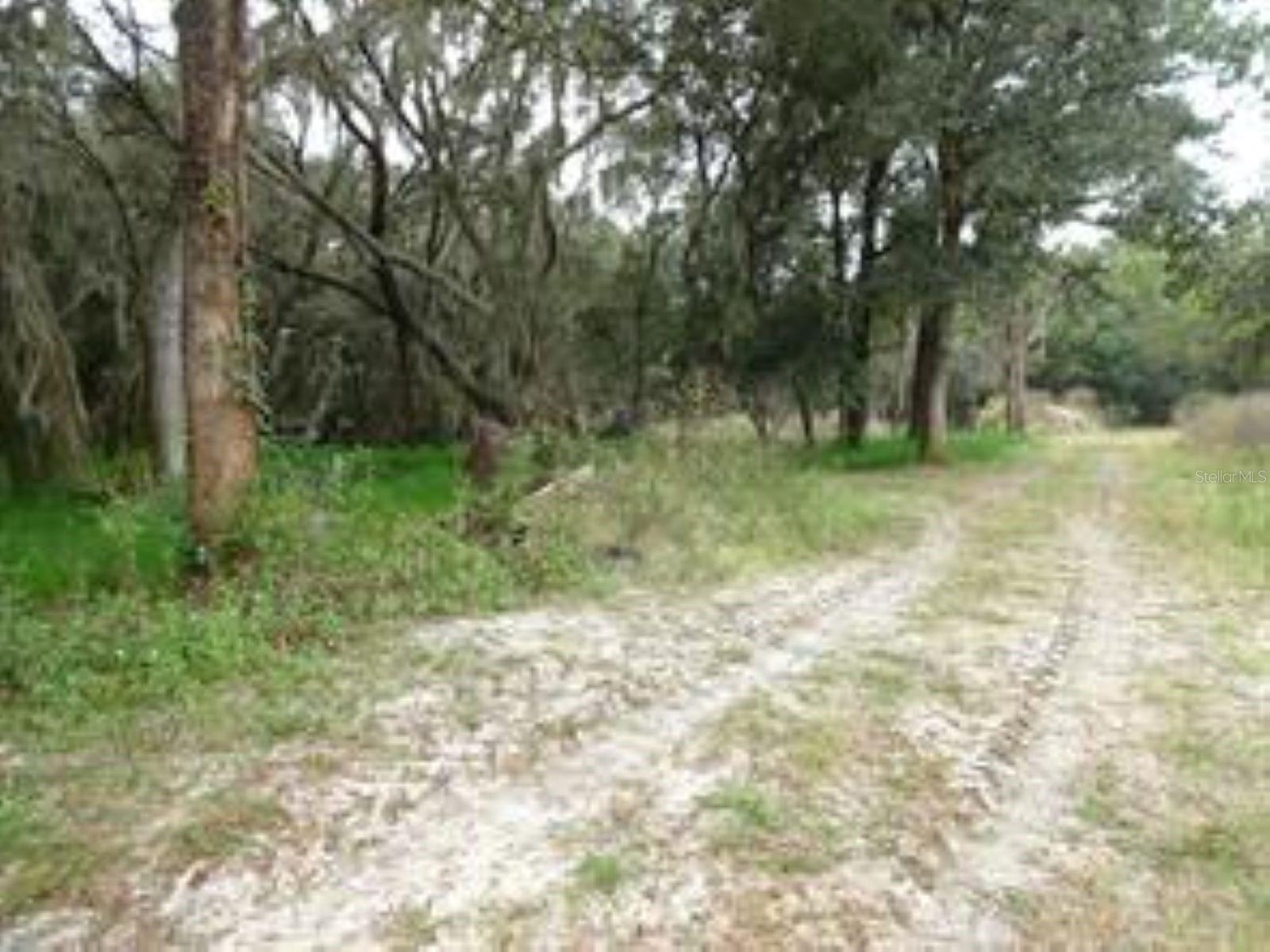 610 BURNSED RD, PIERSON, FL, 32180
