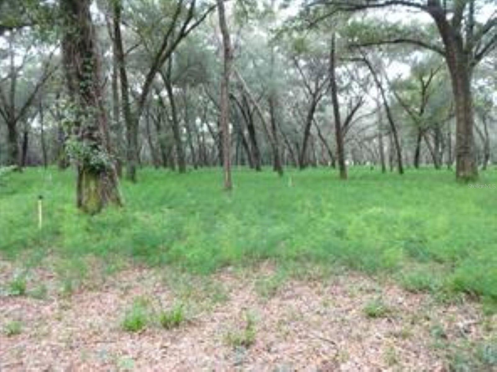 610 BURNSED RD, PIERSON, FL, 32180