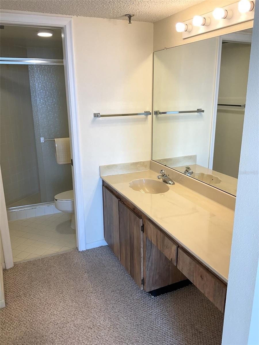 6322 PALMA DEL MAR BLVD S #G402, ST PETERSBURG, FL, 33715