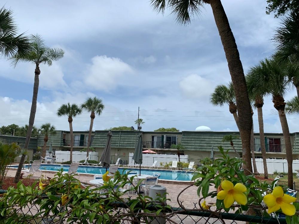 1799 N HIGHLAND AVE #3, CLEARWATER, FL, 33755