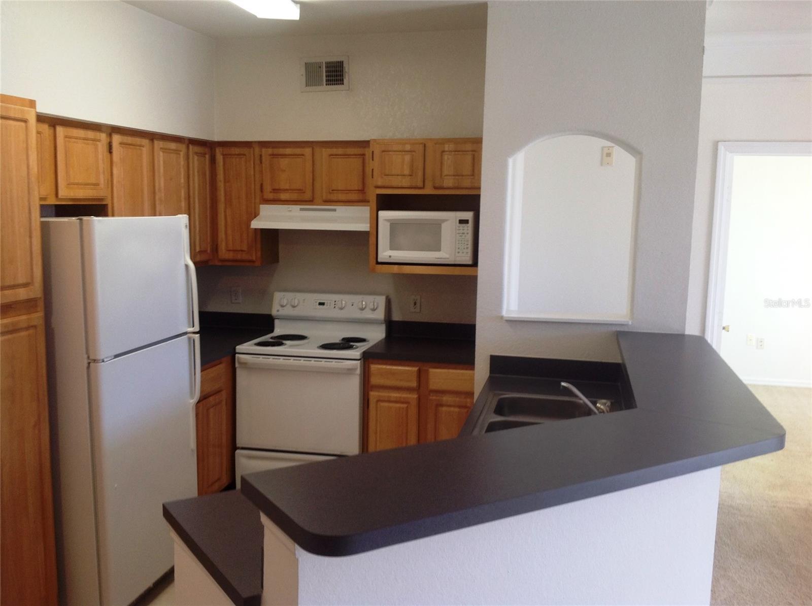 6663 QUEENS BOROUGH AVE #207, ORLANDO, FL, 32835