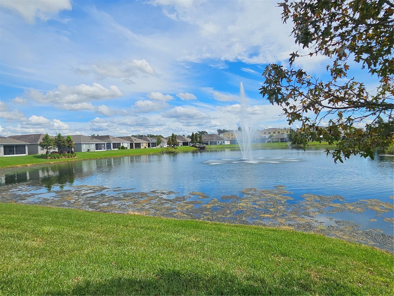 11112 SWANSEA ST, RIVERVIEW, FL, 33578