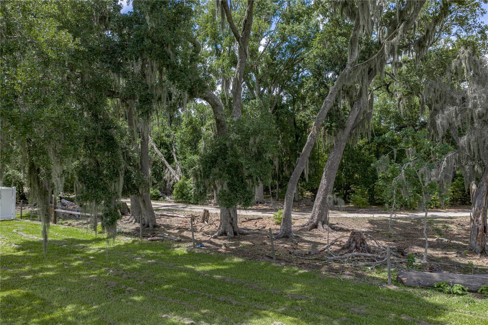 14080 SYDNEY RD, DOVER, FL, 33527