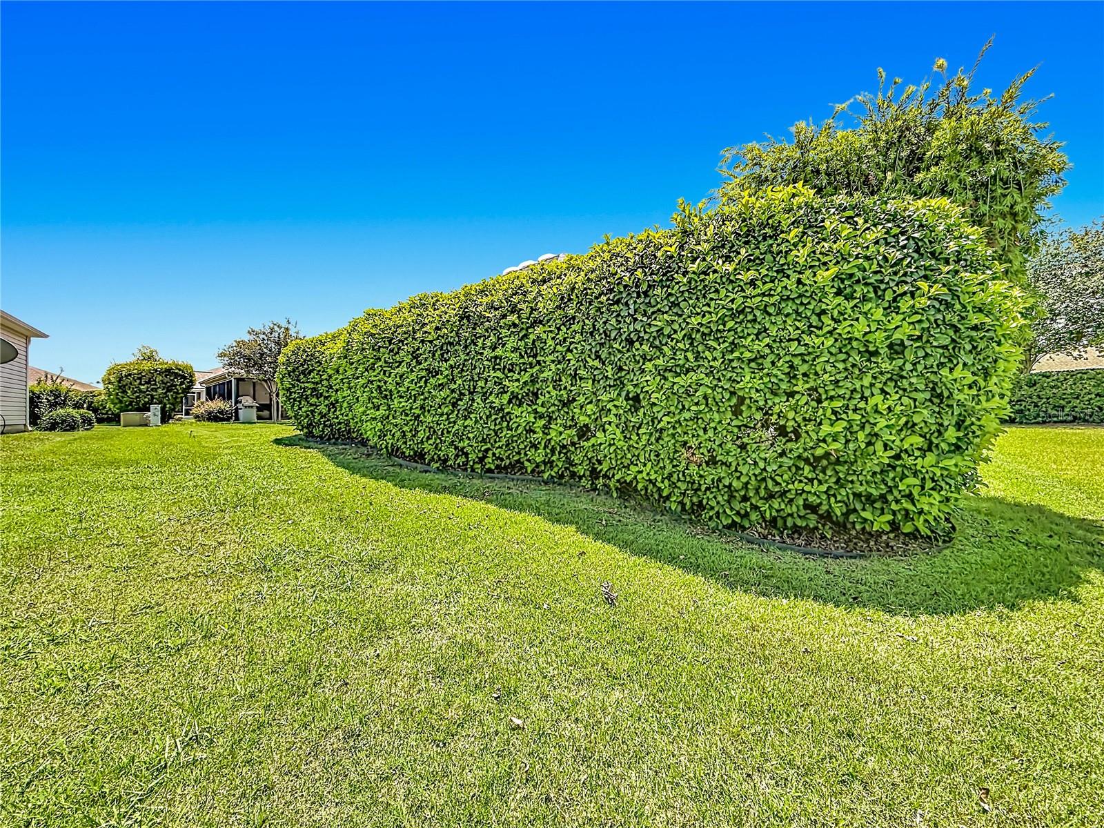 2529 EDENVILLE PATH, THE VILLAGES, FL, 32162
