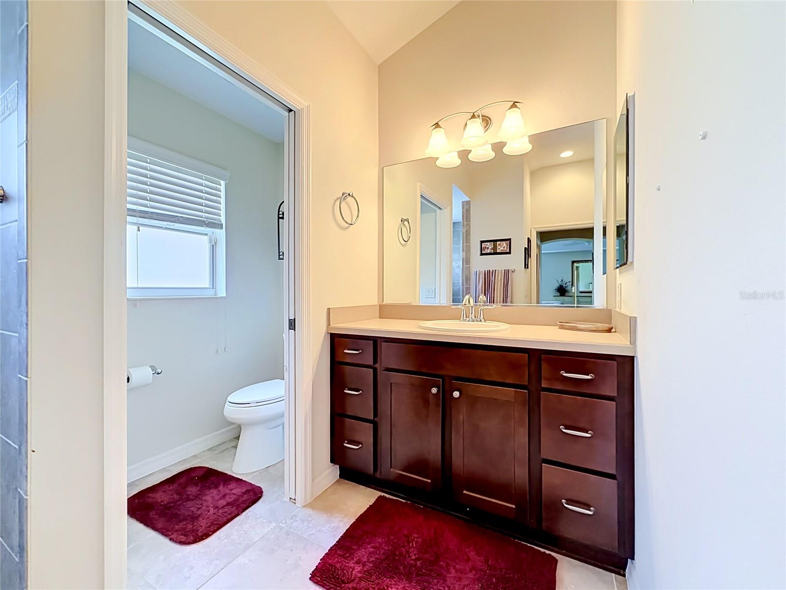 2529 EDENVILLE PATH, THE VILLAGES, FL, 32162