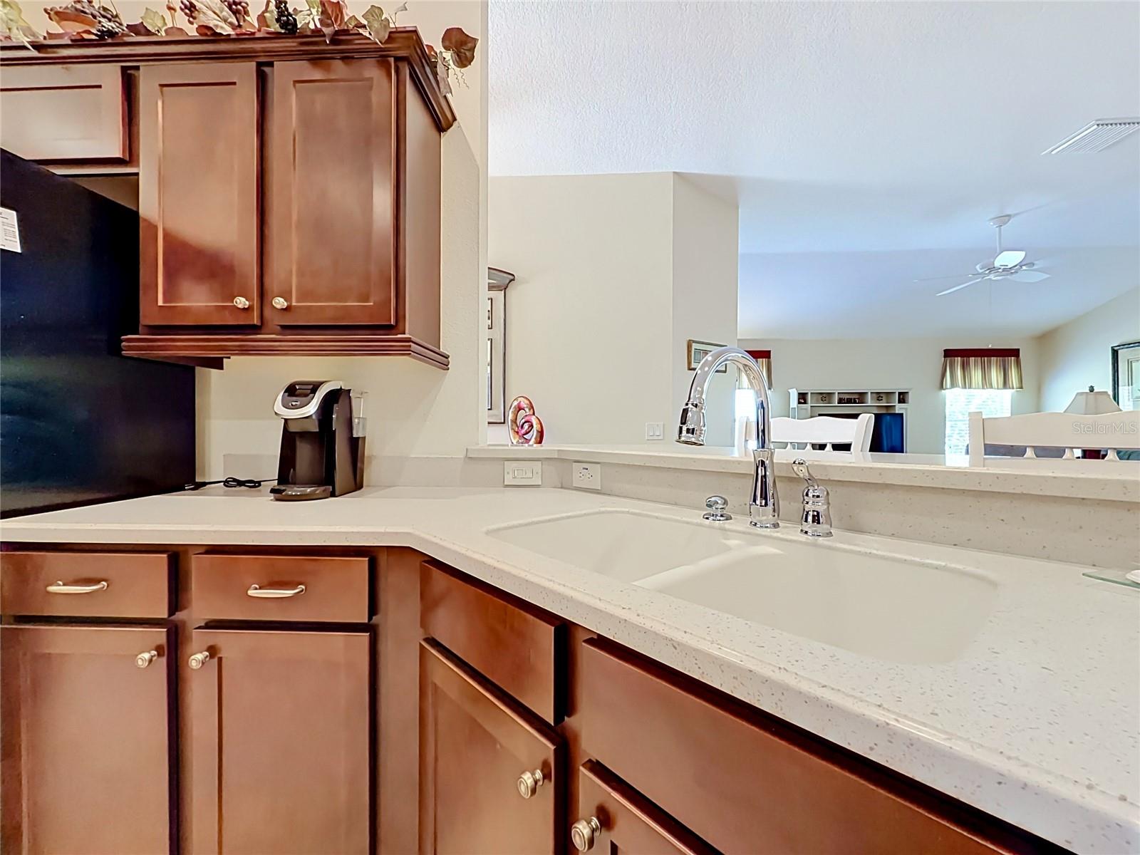 2529 EDENVILLE PATH, THE VILLAGES, FL, 32162