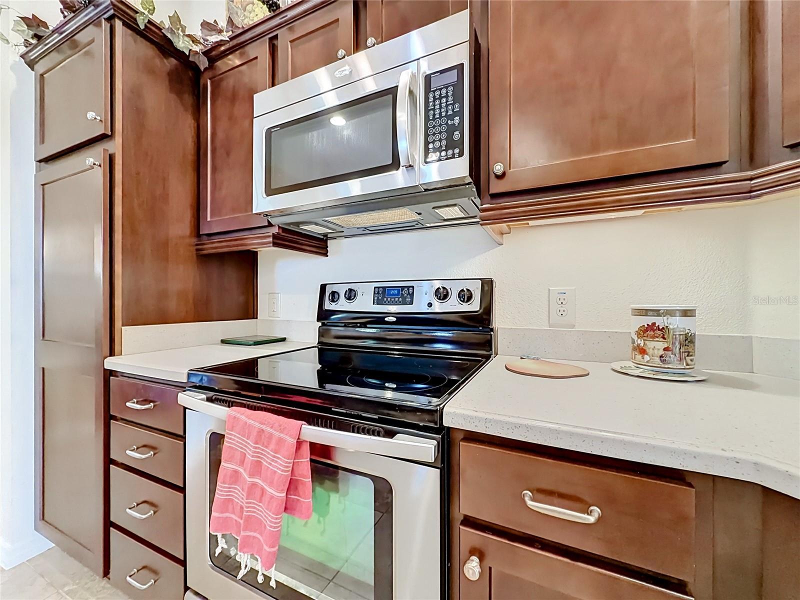2529 EDENVILLE PATH, THE VILLAGES, FL, 32162