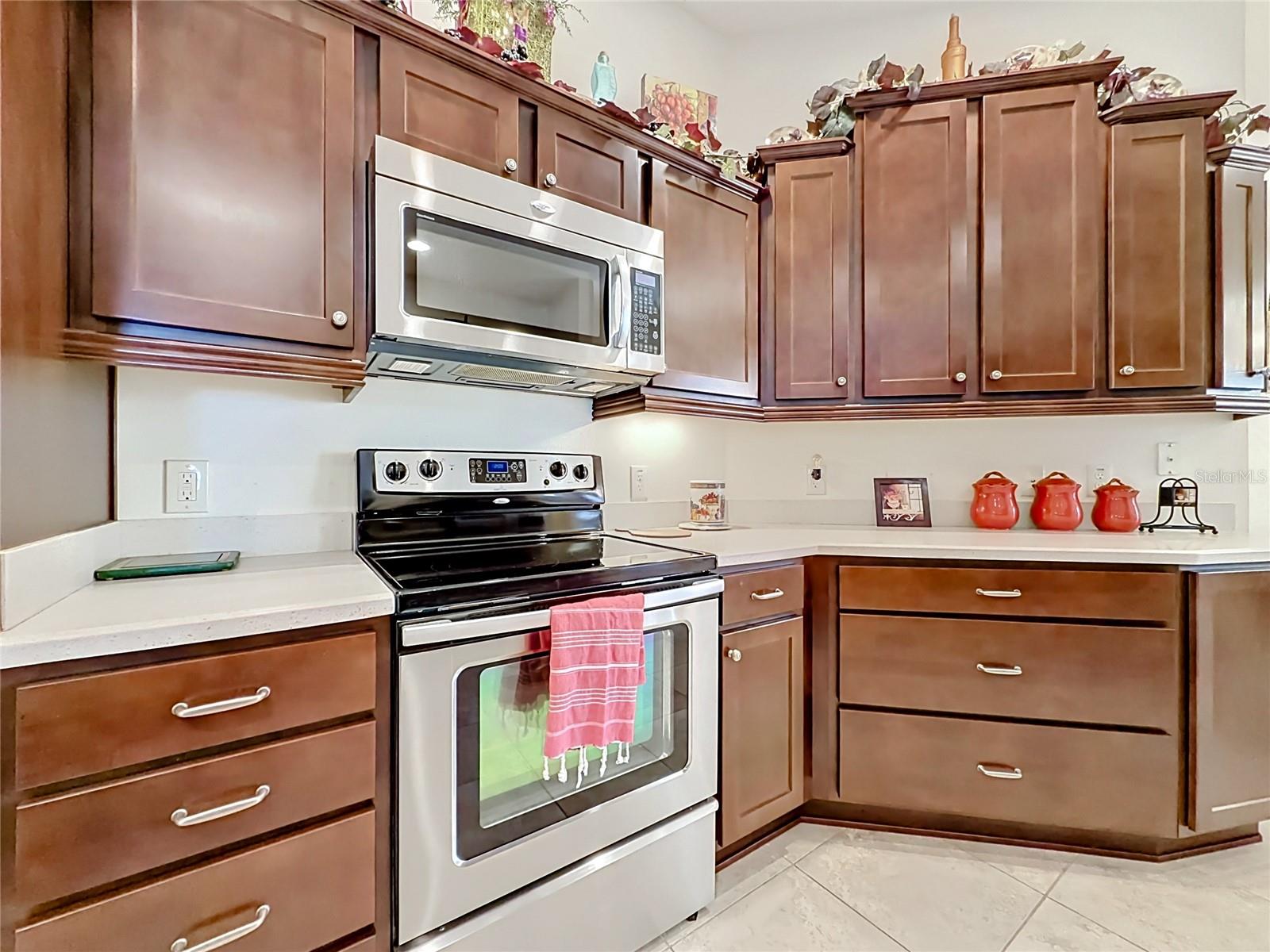 2529 EDENVILLE PATH, THE VILLAGES, FL, 32162