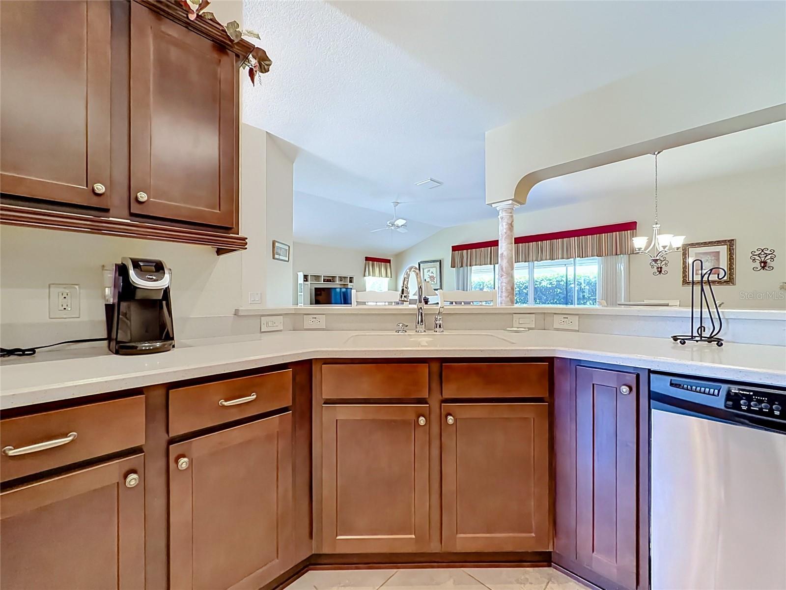 2529 EDENVILLE PATH, THE VILLAGES, FL, 32162