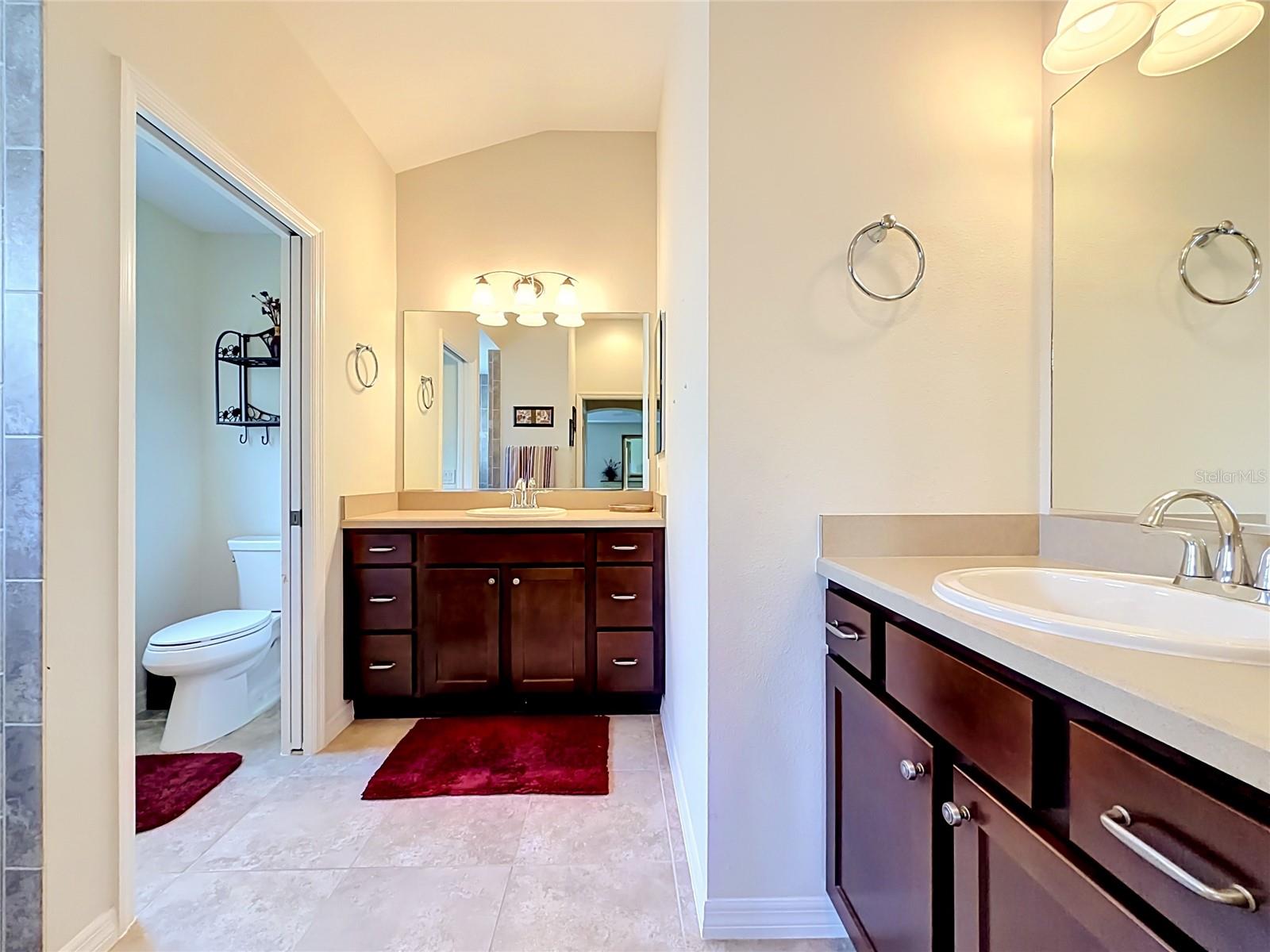 2529 EDENVILLE PATH, THE VILLAGES, FL, 32162