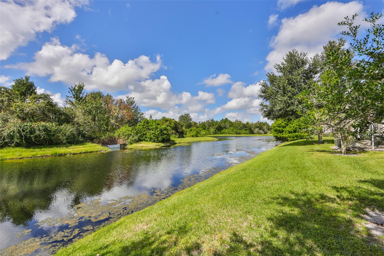 26948 JUNIPER BAY DR, WESLEY CHAPEL, FL, 33544
