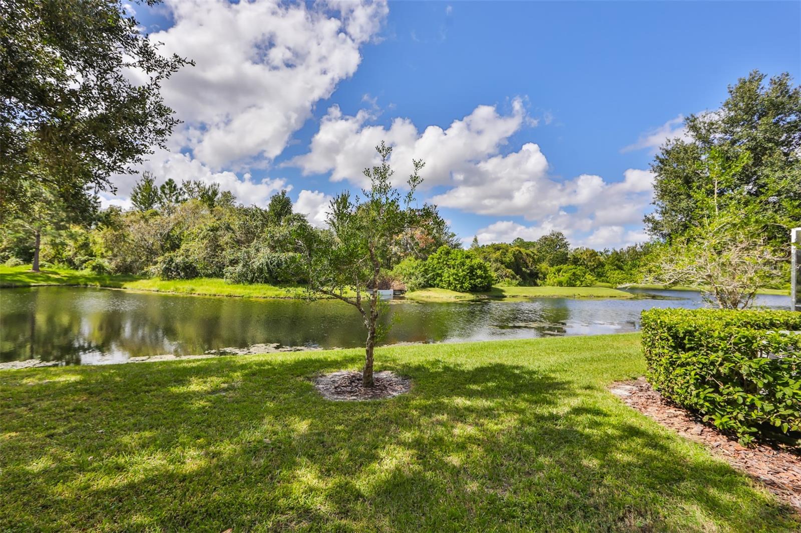 26948 JUNIPER BAY DR, WESLEY CHAPEL, FL, 33544