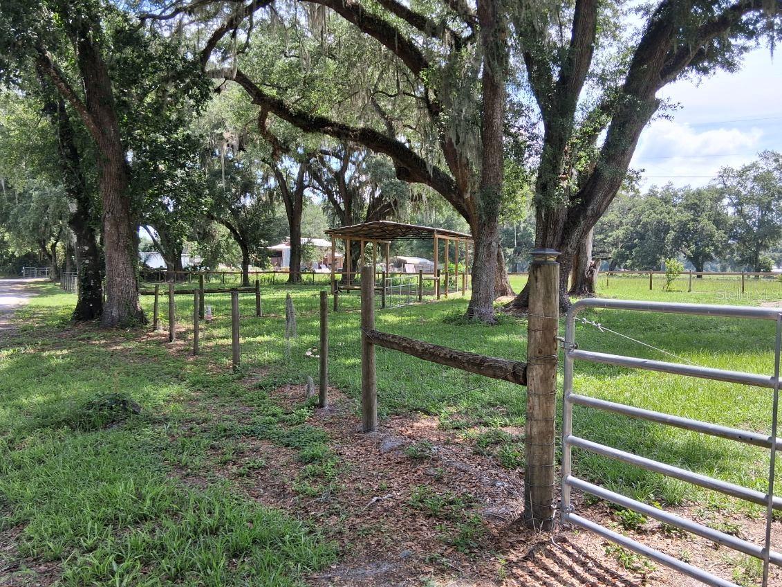 10628 CR 771, WEBSTER, FL, 33597