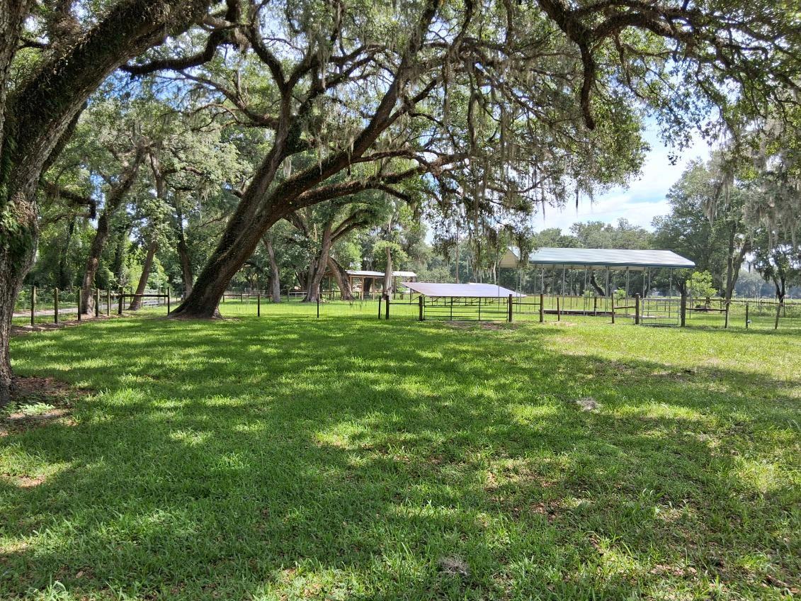 10628 CR 771, WEBSTER, FL, 33597